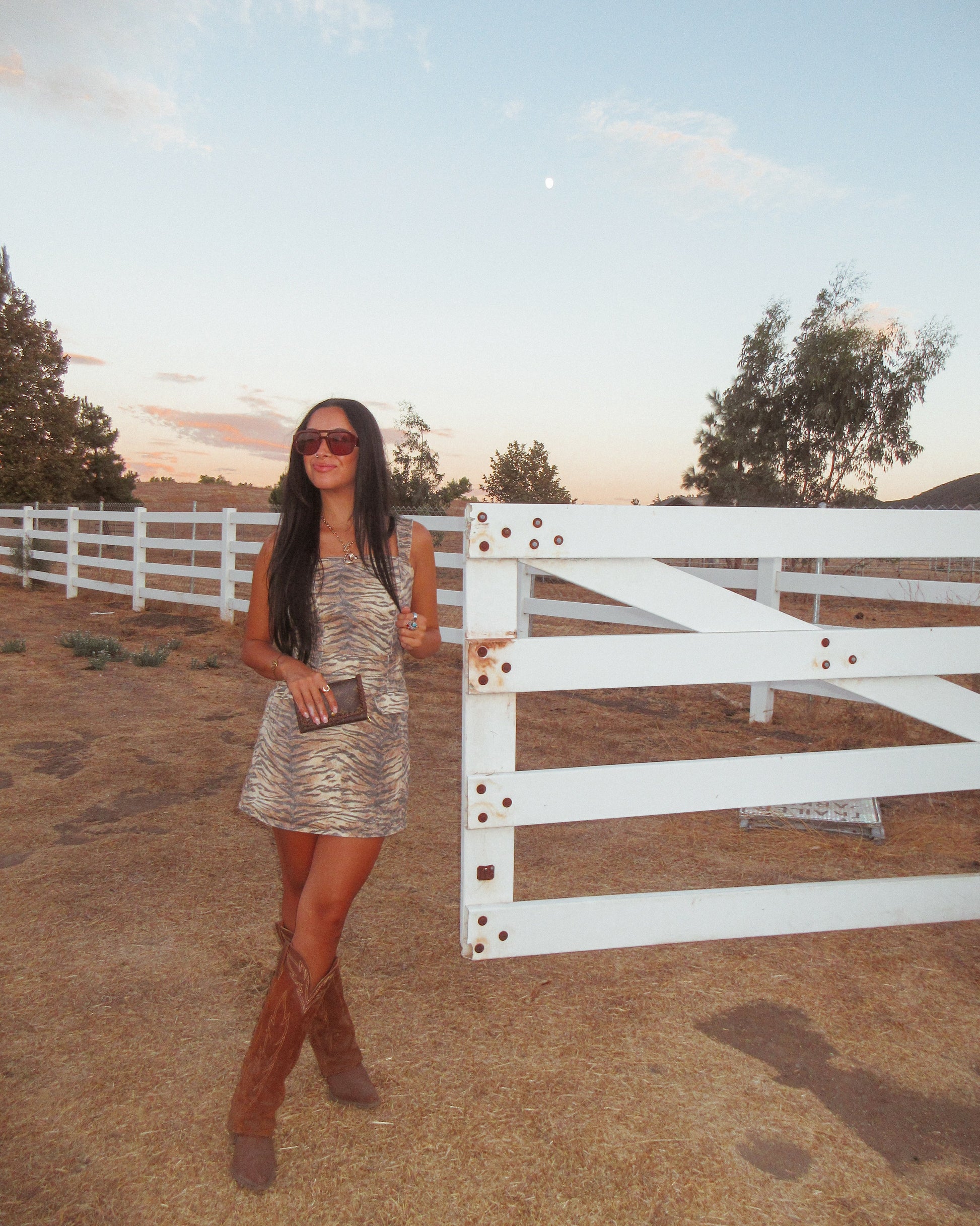 Tiger Print Denim Dress