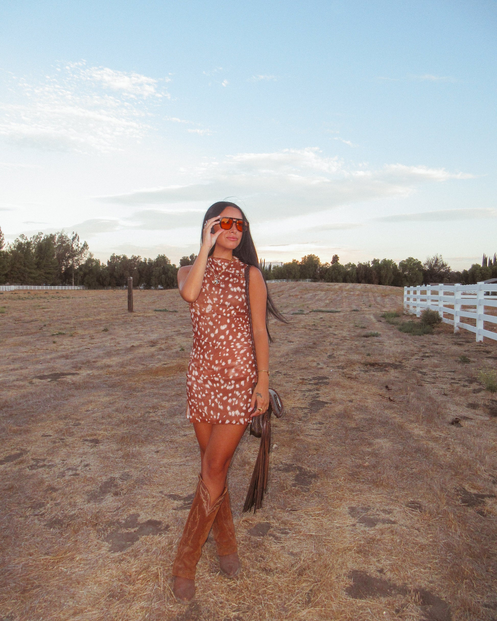 Prairie Mesh Dress-Fawn