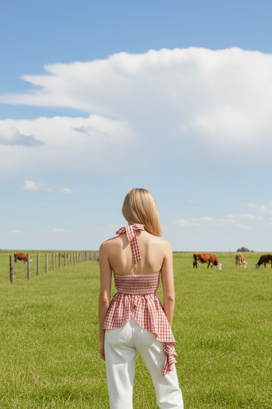 Blair Gingham Halter Top