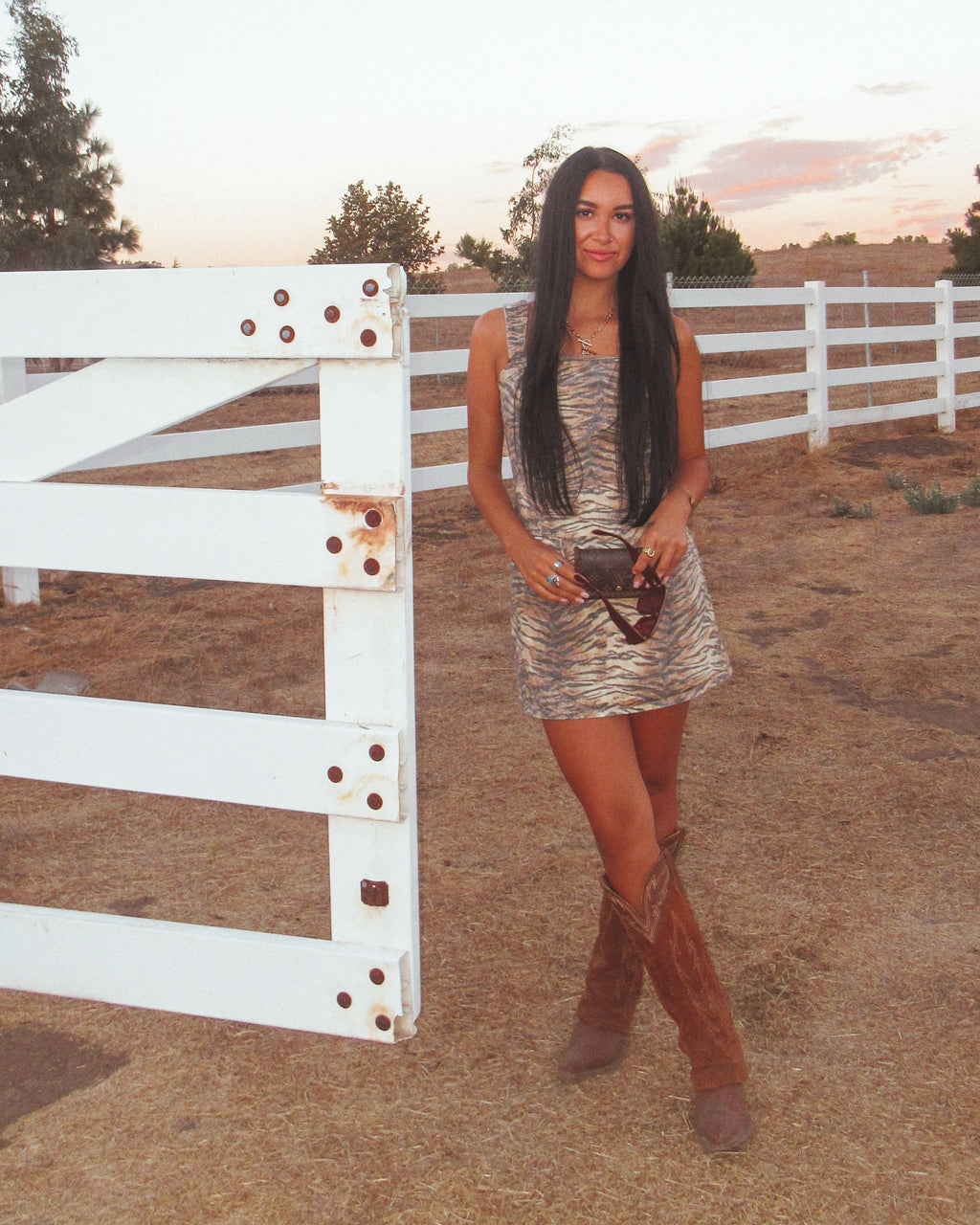 Tiger Print Denim Dress
