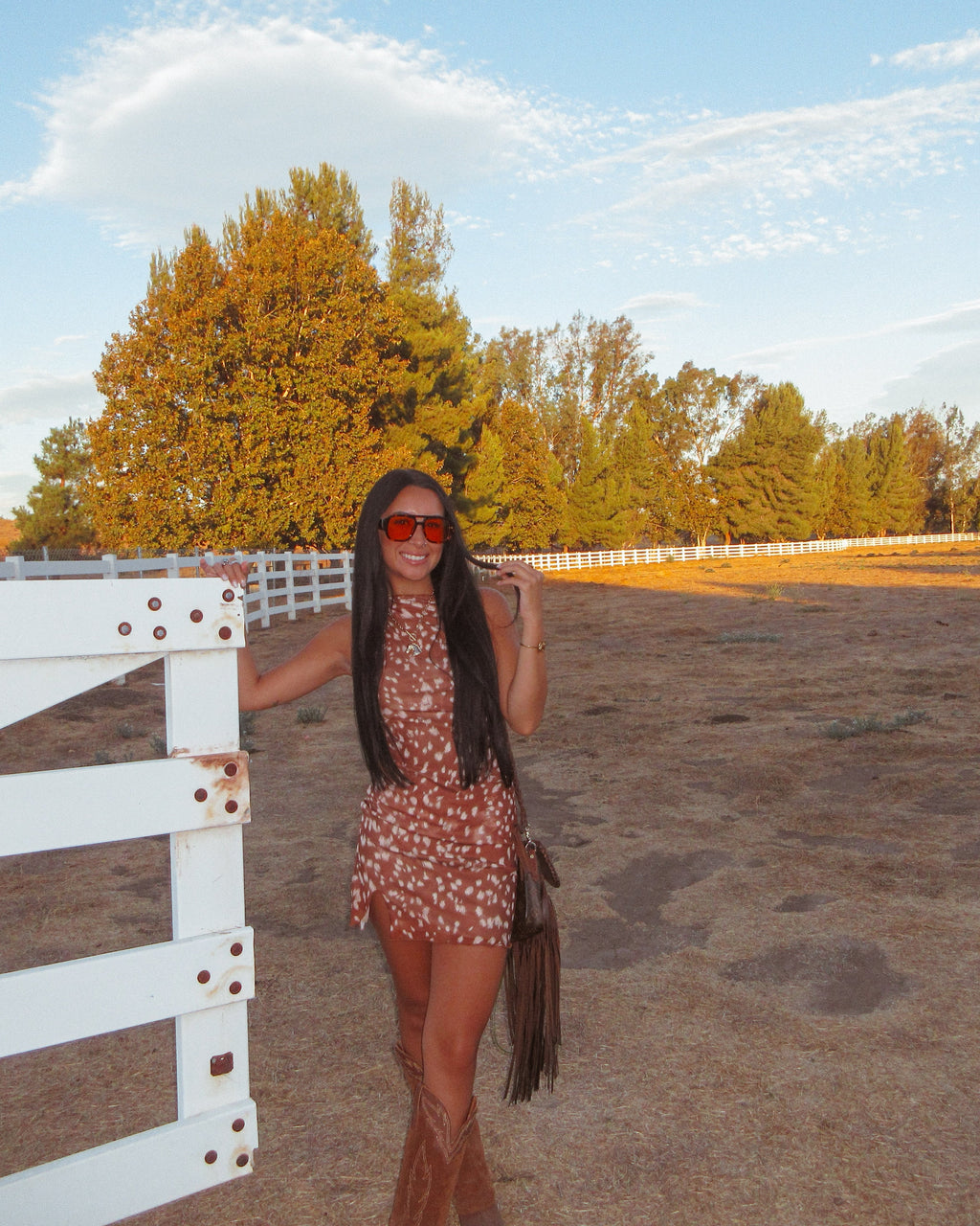 Prairie Mesh Dress-Fawn