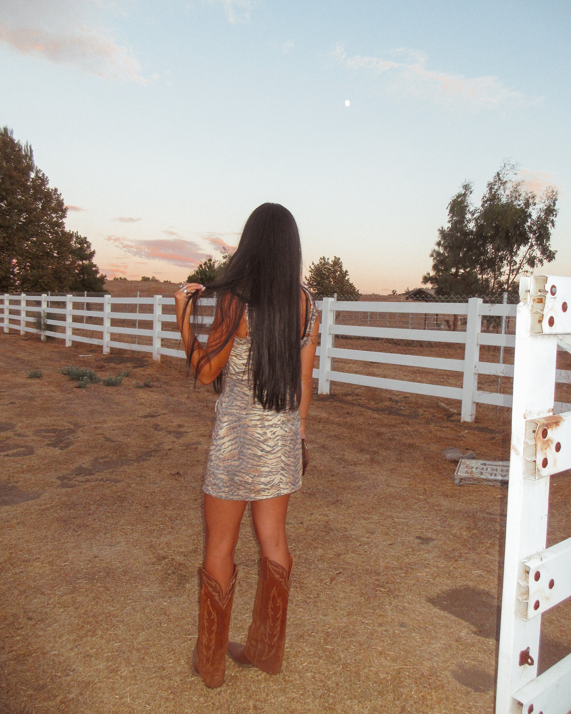 Tiger Print Denim Dress